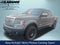 2013 Ford F-150 Platinum